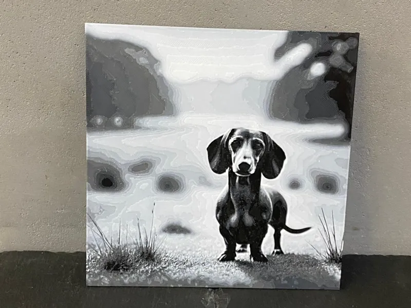 Dachshund