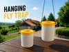 Hanging Flytrap