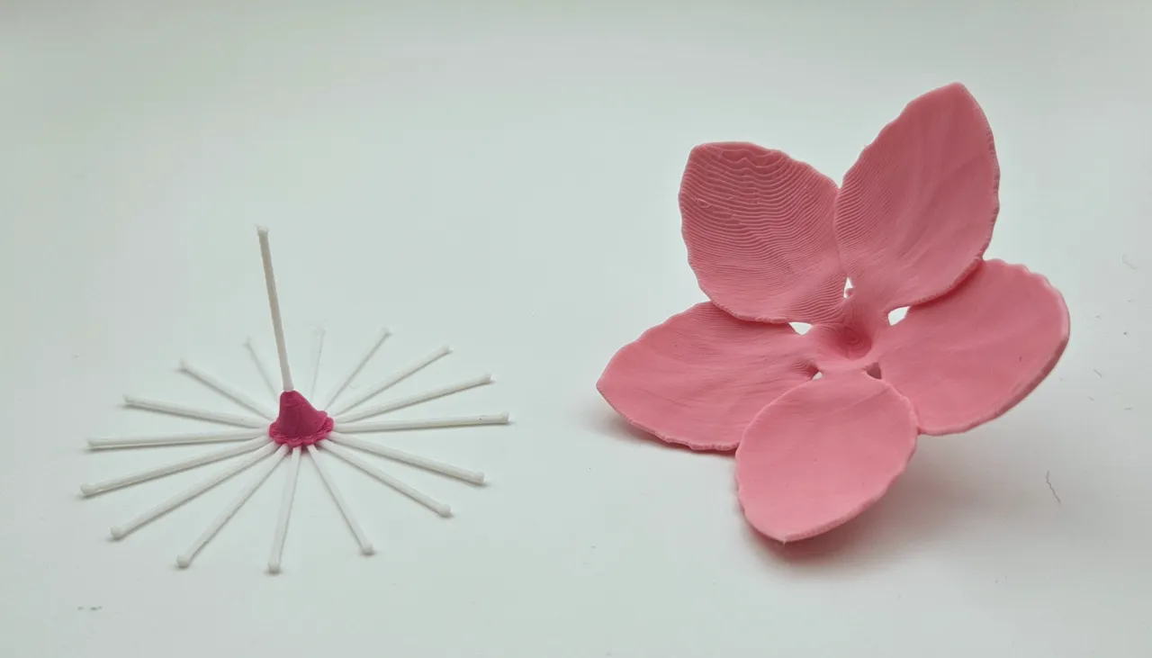 Cherry Blossom Branch view 4
