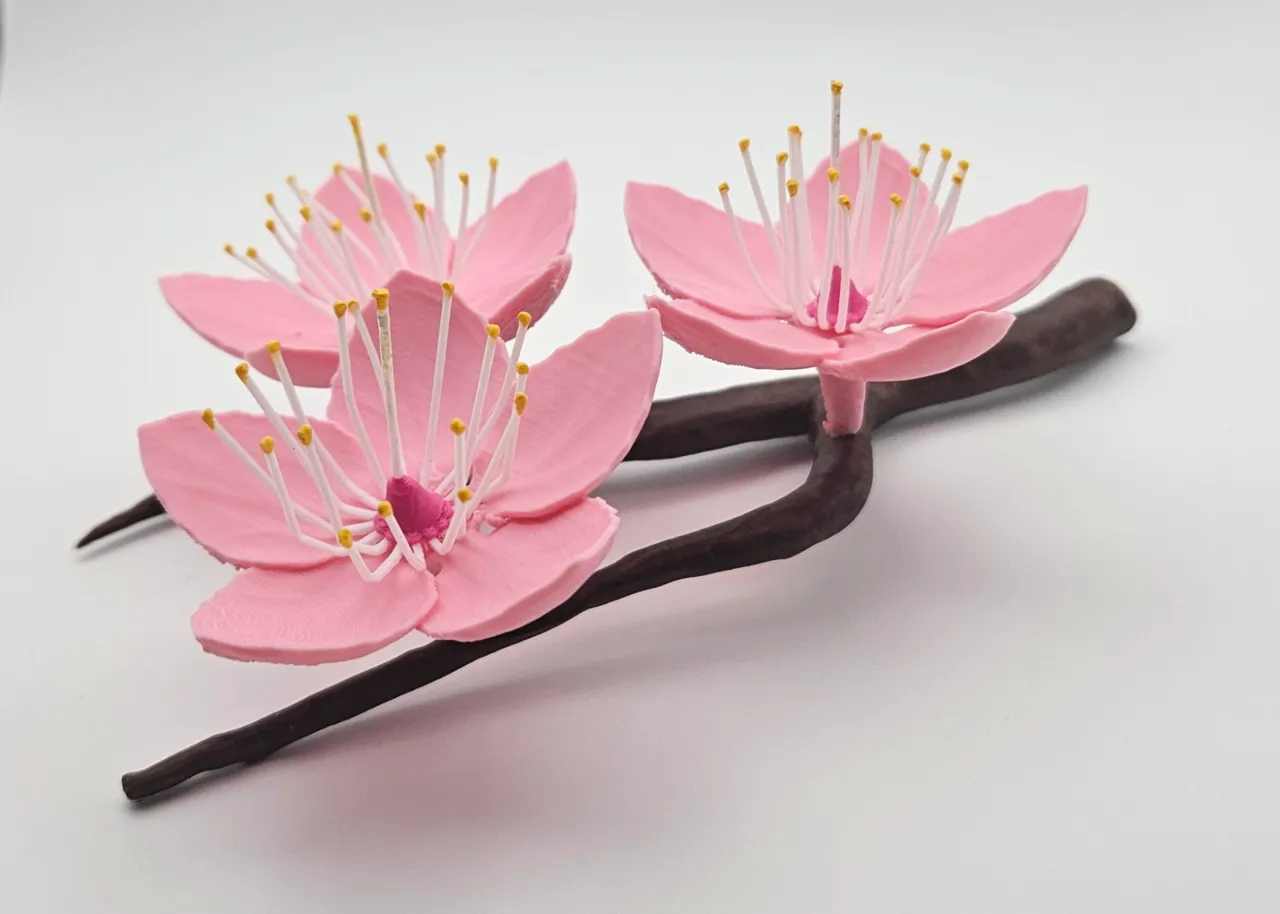 Cherry Blossom Branch view 3
