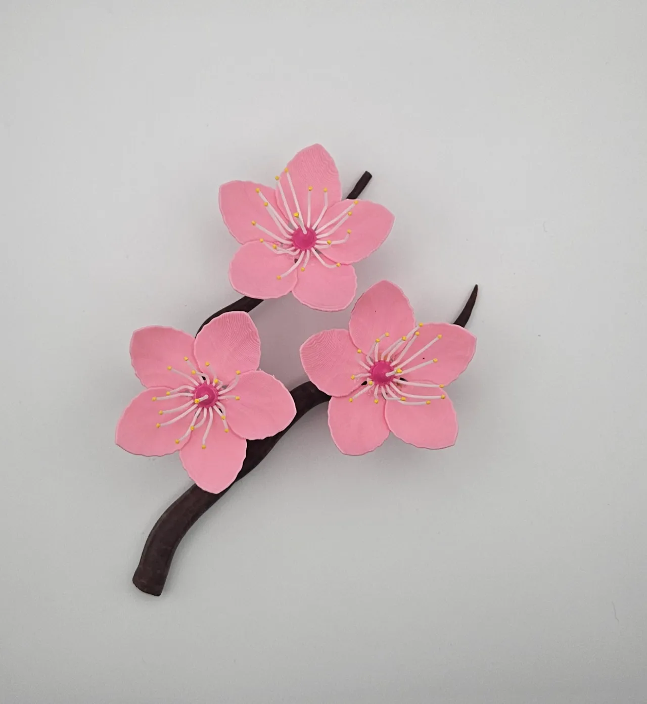 Cherry Blossom Branch view 2