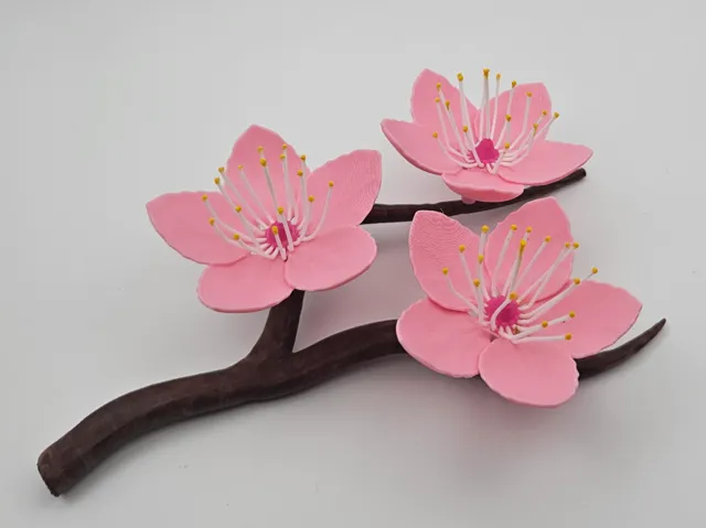 Cherry Blossom Branch