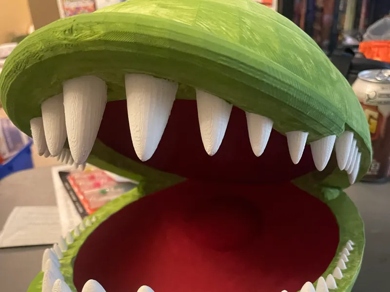 Venus Flytrap with drainage holes