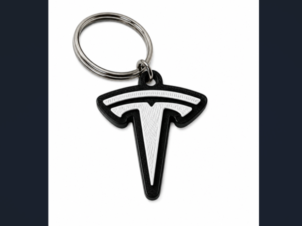 Tesla keychain AMS / no AMS
