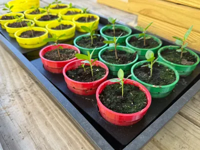 Air pruning seed starting pots with pop out bases