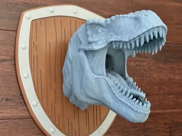 https://makerworld.bblmw.com/makerworld/model/USaf7c52abdece7e/design/2025-01-27_85efa199457d.webp
