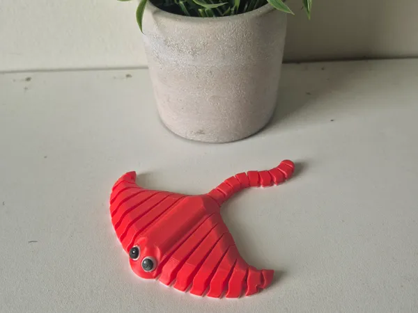 https://makerworld.bblmw.com/makerworld/model/USaf7dff73123507/design/2025-03-16_bdd4dce019885.jpg