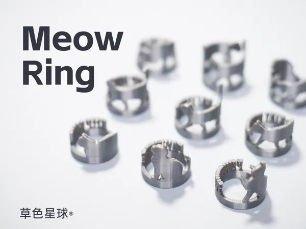 https://makerworld.bblmw.com/makerworld/model/USaf81f55ffb1d1a/design/2024-12-26_f07ebbd4ab9b9.jpg