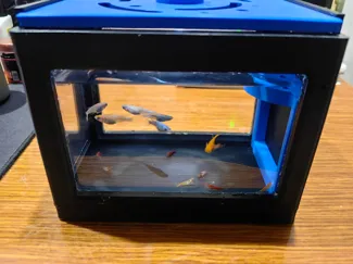 自制冷水鱼缸
