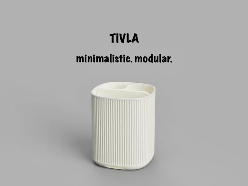 Organizer TIVLA -- normal Version