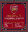 THE INVINCIBLES VERSION