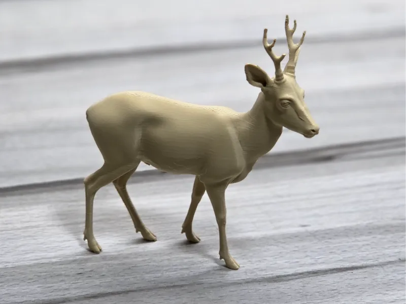 Rehbock ( Roebuck, Deer)