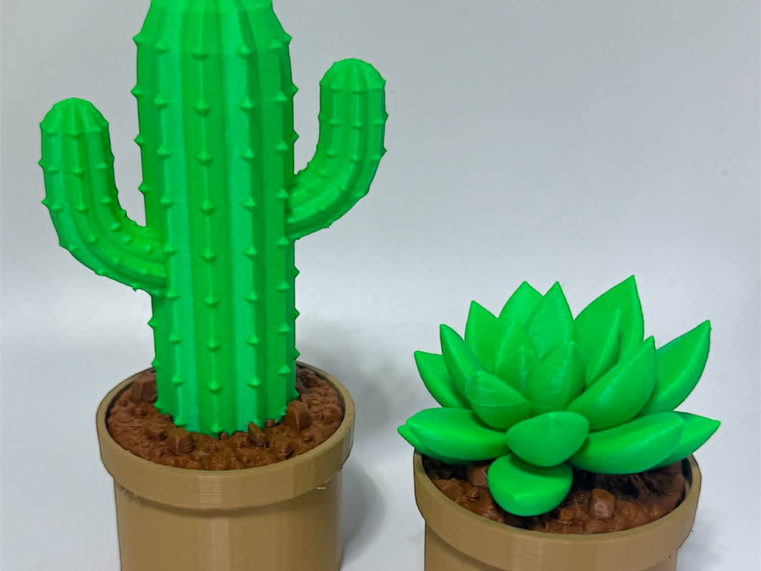 Cactus and Succulent Containers For Jewelry etc..