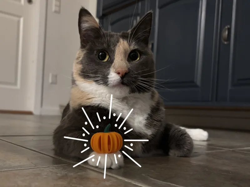 Pumpkin Cat Toy With Mini Pumpkin Inside