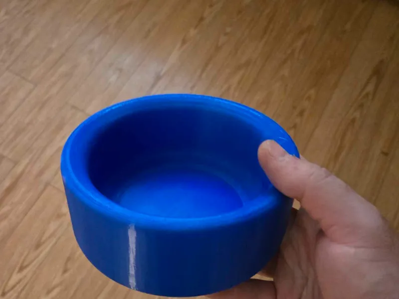 pet bowl