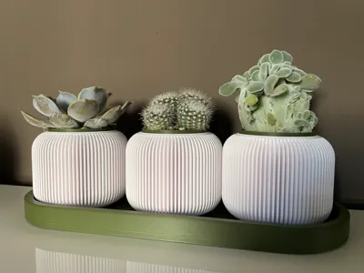 Hydroponic LECA Succulent Pots (no AMS)