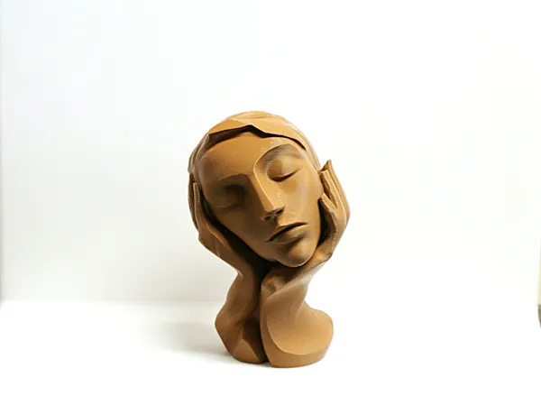 https://makerworld.bblmw.com/makerworld/model/USafa6849c571a0c/design/2025-03-20_4a809ff725b33.jpg