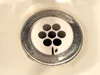 Flower Drain Screen