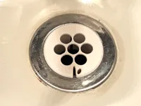 Flower Drain Screen