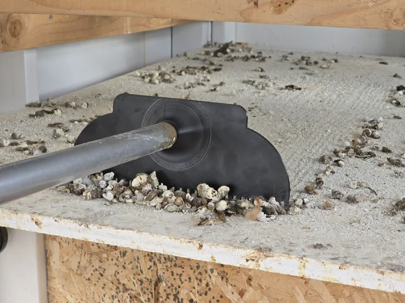 Chicken poop rake