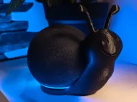 0.2mm layer, 3 walls, 5% infill
