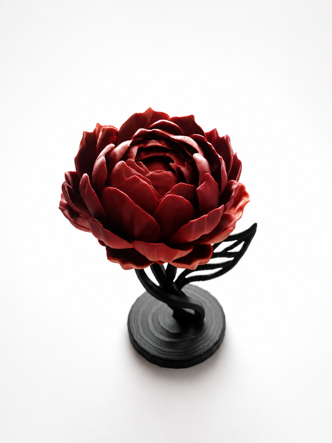 The Timeless Peony - 1