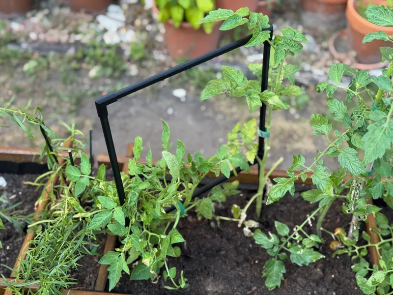 Simple Modular Plant Support