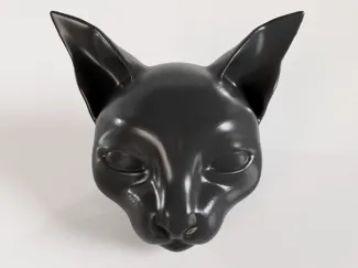 Sphynx/Devon-rex cat head