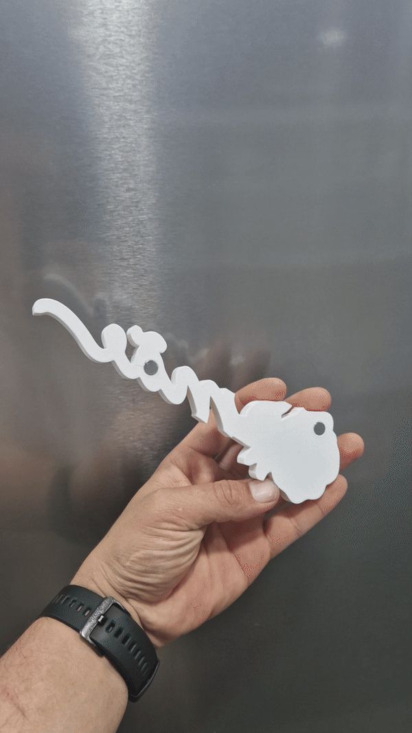 https://makerworld.bblmw.com/makerworld/model/USafbe527a4f8731/design/2024-04-10_a30e967be0294.gif