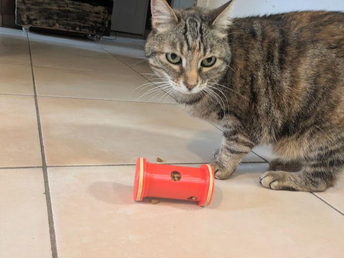 RollFeeder – Distributeur de croquettes pour chat