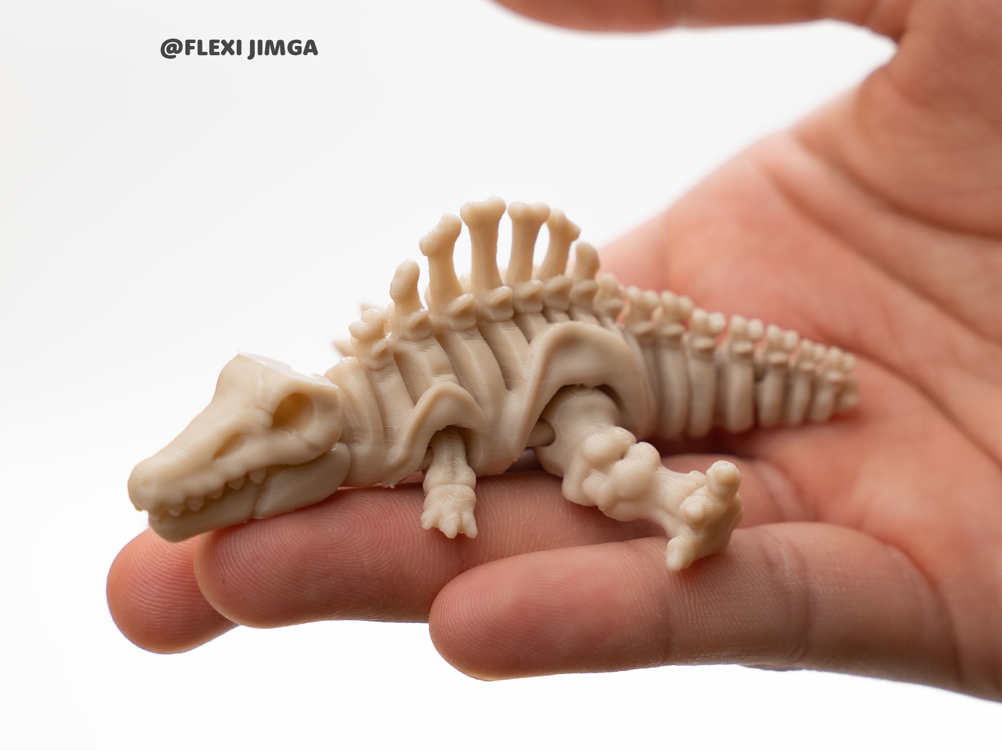 Mini Articulated Skeletal Spinosaurus - 1
