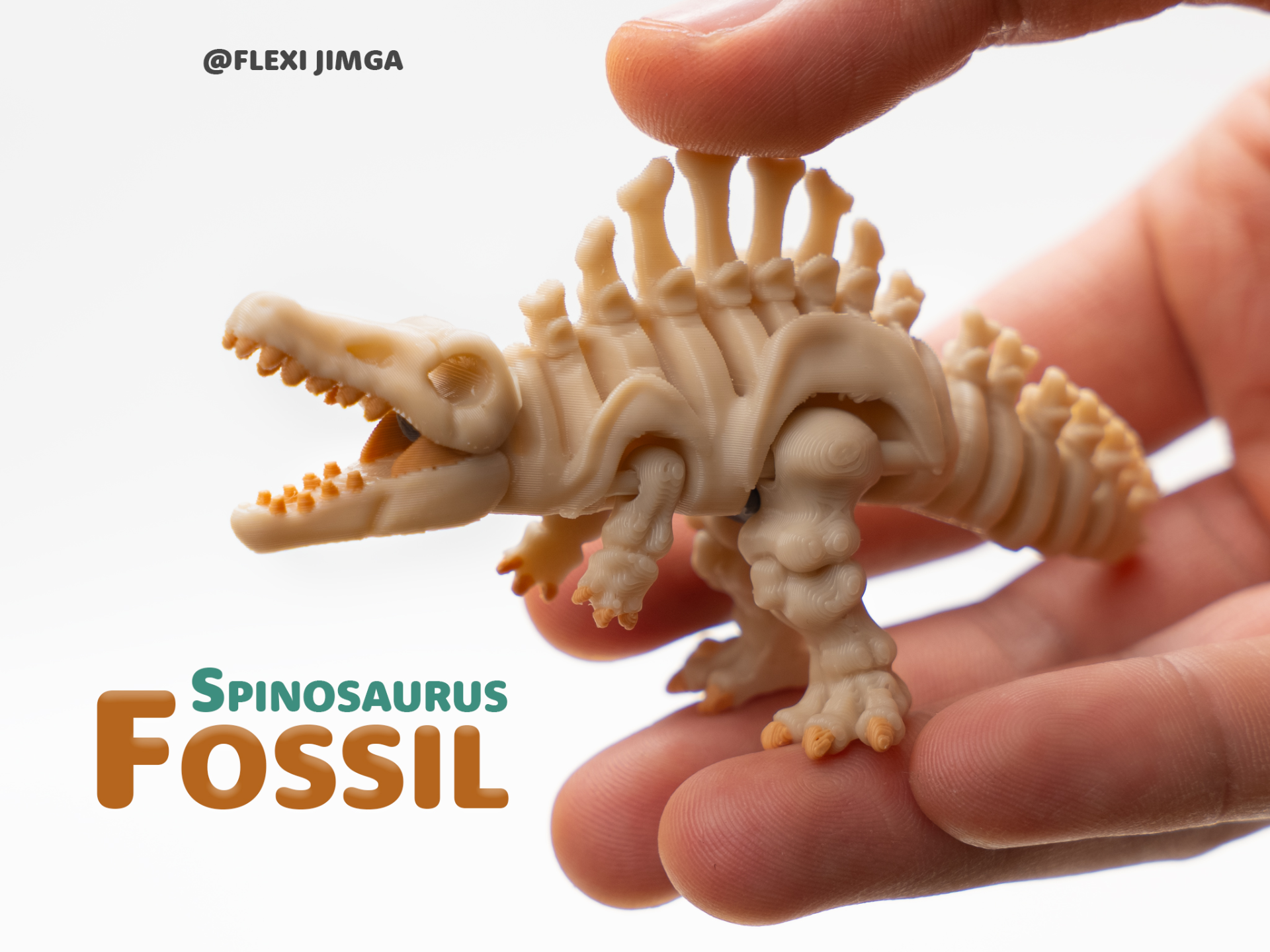 Mini Articulated Skeletal Spinosaurus 3D model
