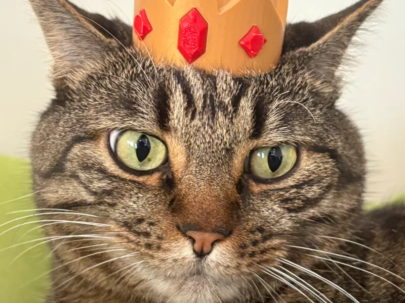 Ice King's crown