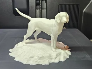 Finnish hound