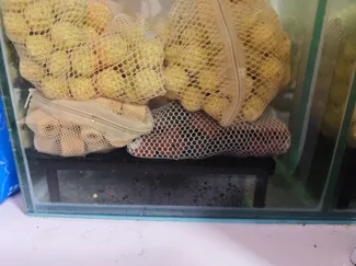 1米鱼缸滤材托架