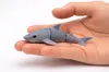 Shark Multicolor