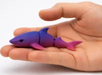 Shark One Color