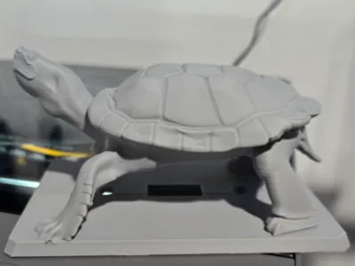 Map turtle outlet cover