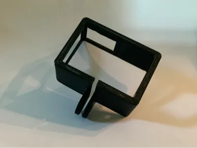 Go Pro case