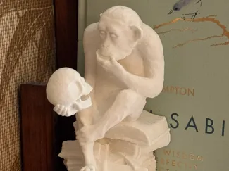 Ape with skull bookend