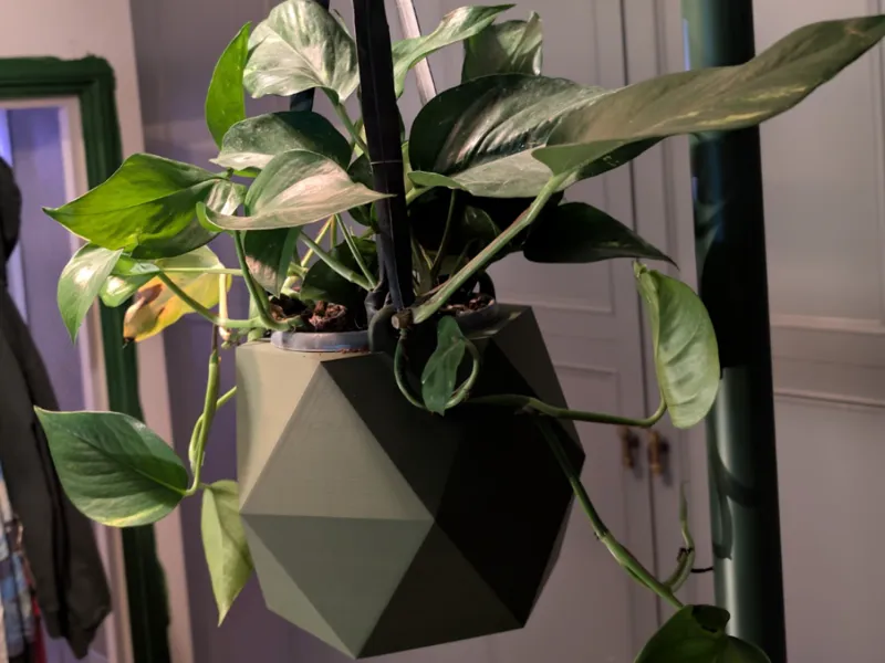 Hanging planter