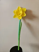 1x Daffodil to Vase - Single Color - A1 Mini