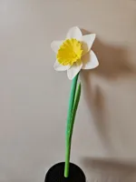 1x Daffodil to Vase - Dual Color - A1 Mini