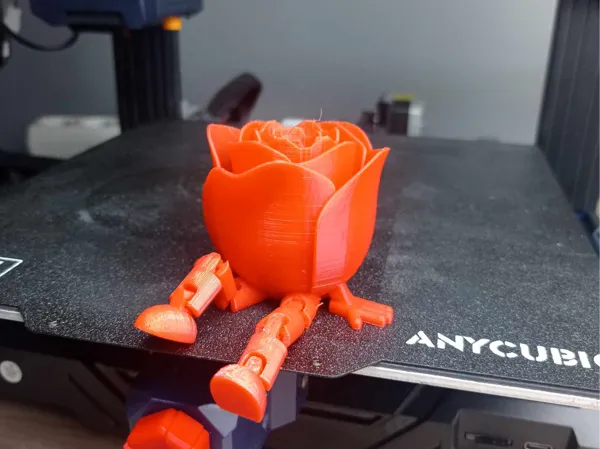 https://makerworld.bblmw.com/makerworld/model/USafe5991fce2297/design/2025-02-06_866788b7ccb4b.jpg