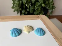 Sea shell
