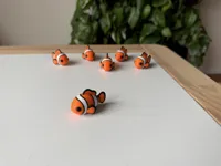 Clownfish