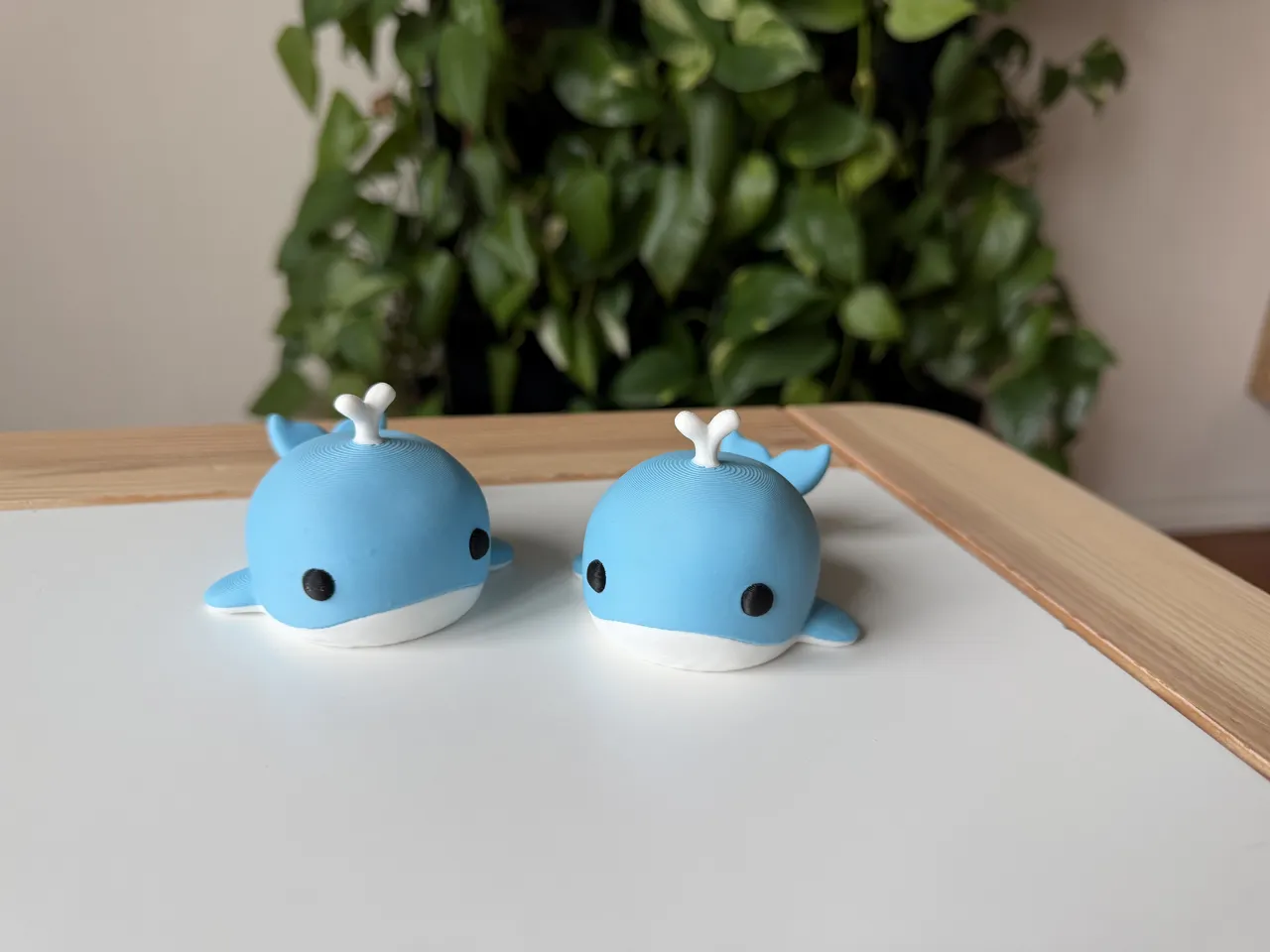 Sea animals - set view 4