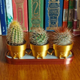 Flowerpot for Ikea mini cactus / succulent