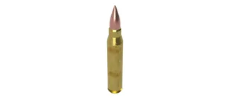 Bullet