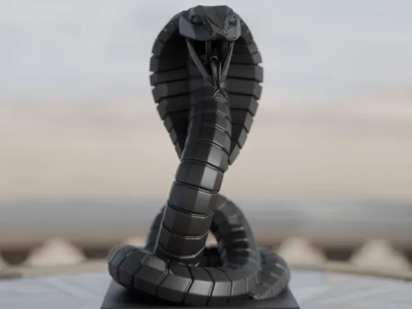 https://makerworld.bblmw.com/makerworld/model/USaff4e0041543d6/design/2025-05-16_02b2b903b1f8e.jpg